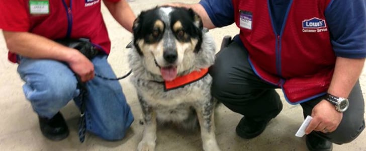 Lowe's Hires Man and Service Dog