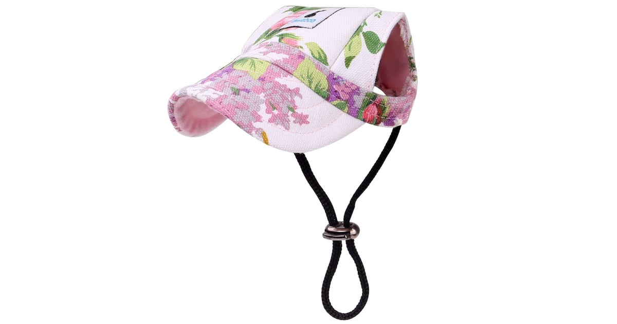 Dog Baseball Cap Best Summer Dog Products POPSUGAR UK Parenting