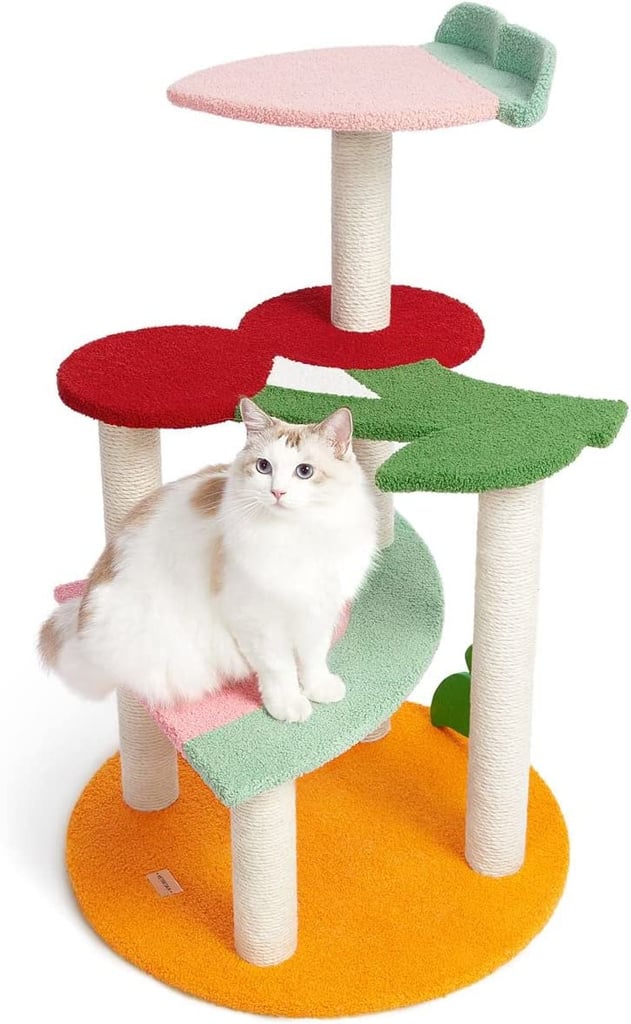 Best Colorful Cat Tree
