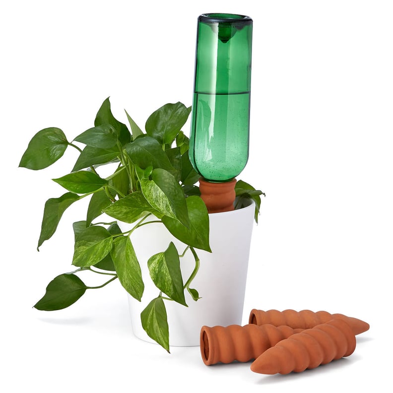 Plant Sitter Watering Stakes