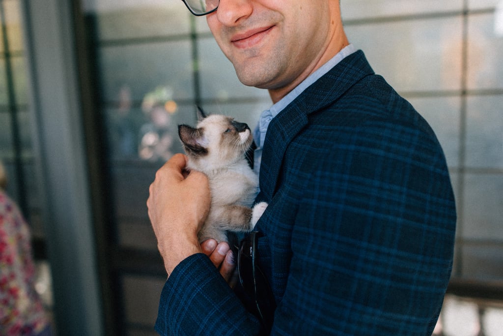 Couple Has Kitten Hour at Their Wedding