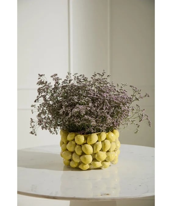Orren Ellis Layered Lemon Pot
