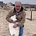Deaf and Blind Dog Reuniting With Her Grandpa | TikTok Video