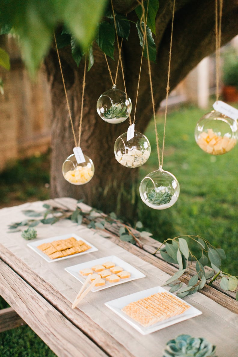 Terrariums Filled With Cheese