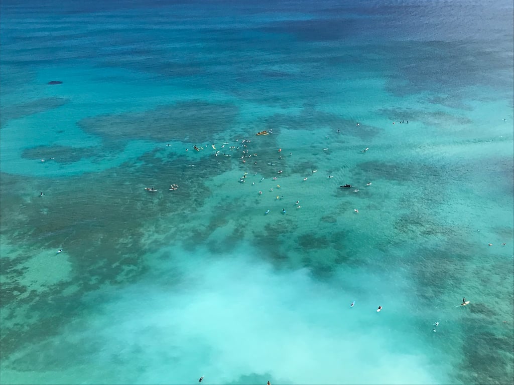 Waikiki's Beautiful Waterscape