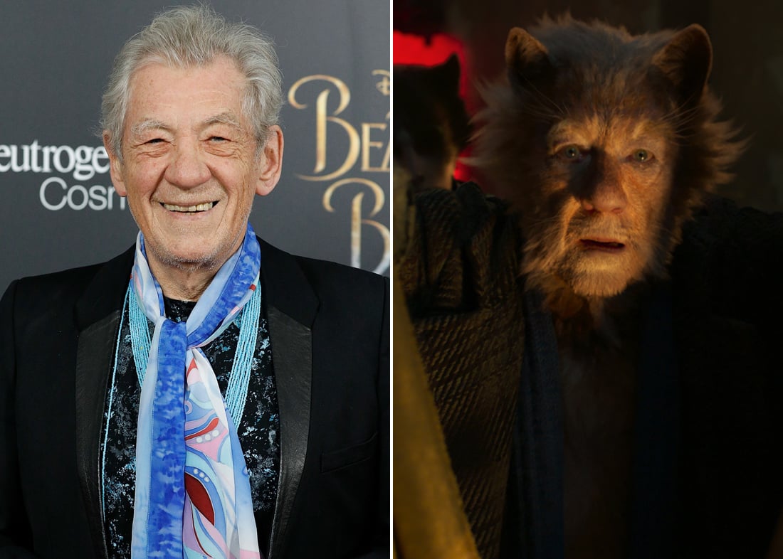 Cats' Movie Cast and Who They're Playing: Taylor Swift, Ian McKellen