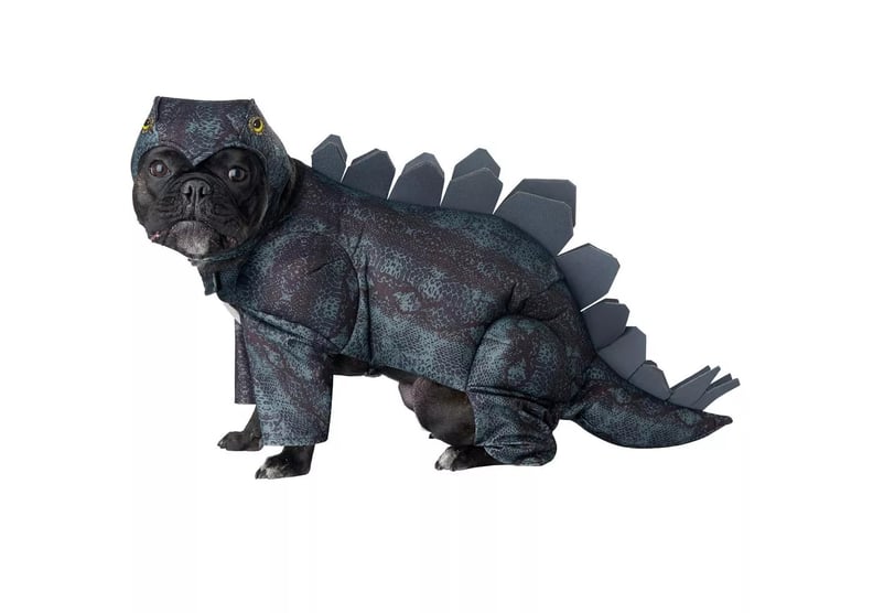 California Costumes Stegosaurus Pet Costume