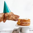 Happy Birthday, Doggo! 9 Cake Recipes Made With Ingredients Just For Your Dog