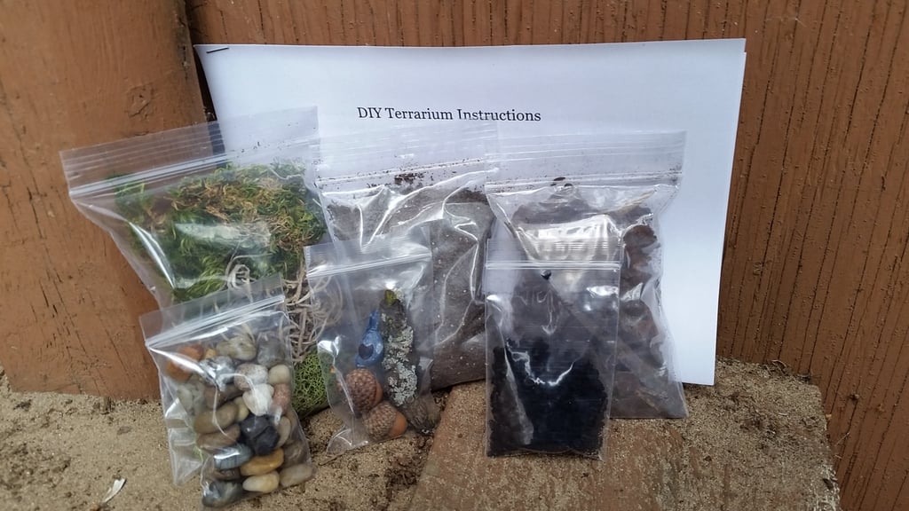 DIY Terrarium Kit