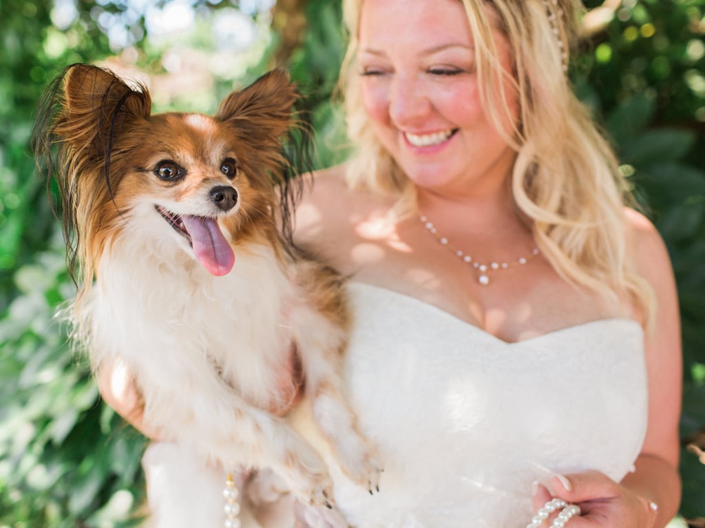 Dogs in Weddings