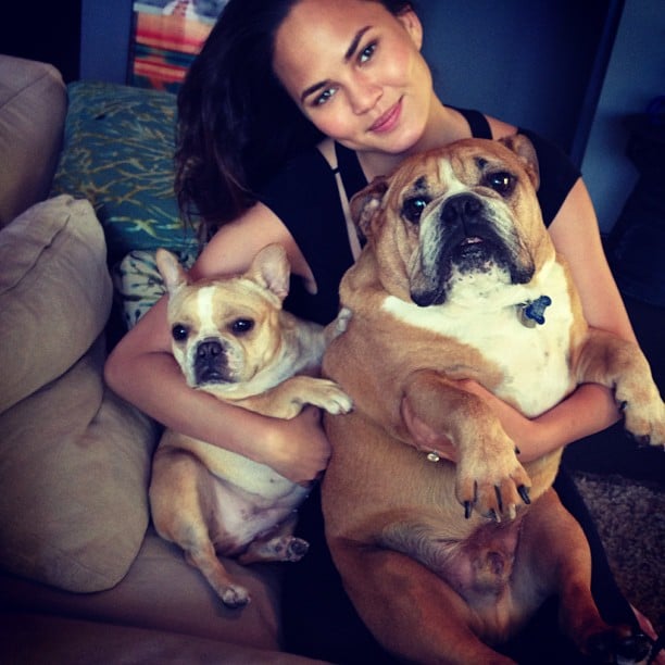 Chrissy Teigen S Dogs Pooey And Puddy Are Practically Famous The Model Dog Owners See Stunning Stars And Their Cute Canines Popsugar Pets Photo 11