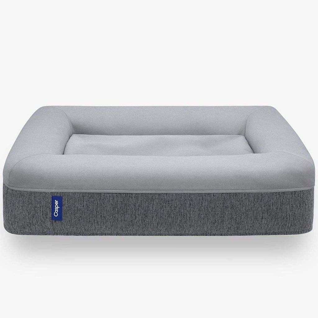 A Deal on a Memory Foam Dog Bed