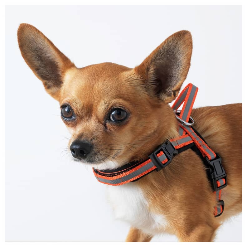 Ikea dog leash 2025