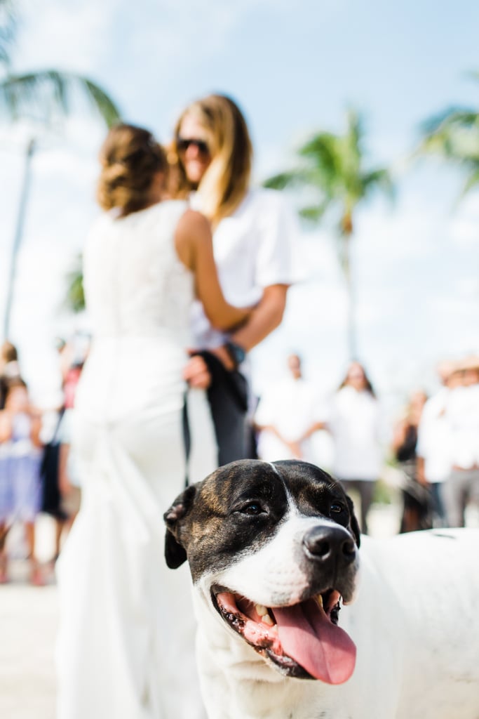 Spring Wedding in Florida Keys