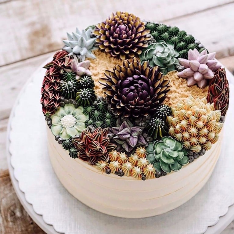 Succulent Cake – Baked by Bri