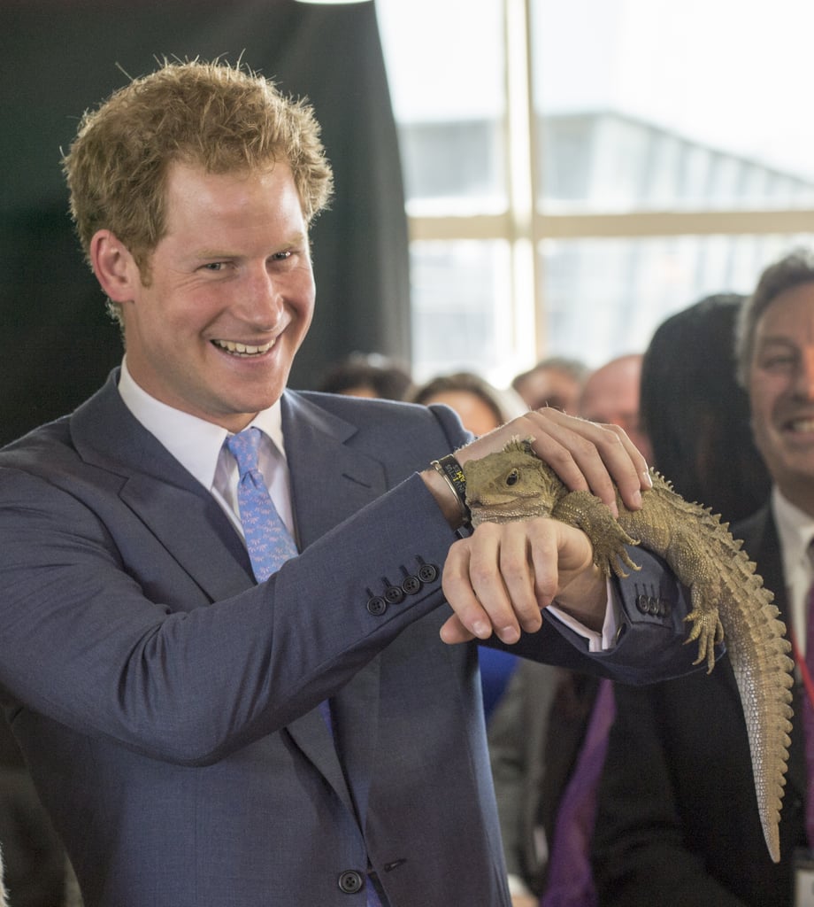 Prince Harry met a 100-year-old lizard (named Harry) on a trip to New Zealand in May 2015.