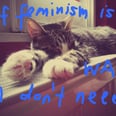 A Ranking of the Best New Tumblrs