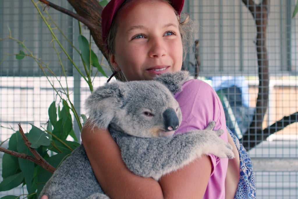 Izzy Bee's Koala World is easy for kids to understand.
