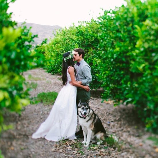 Lemon Orchard Wedding