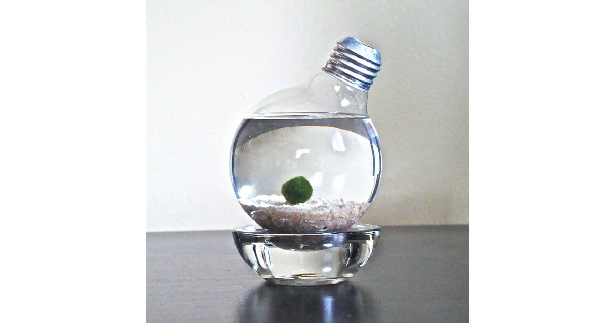 Good Luck Desk Charm StressRelief Items POPSUGAR Smart Living Photo 9
