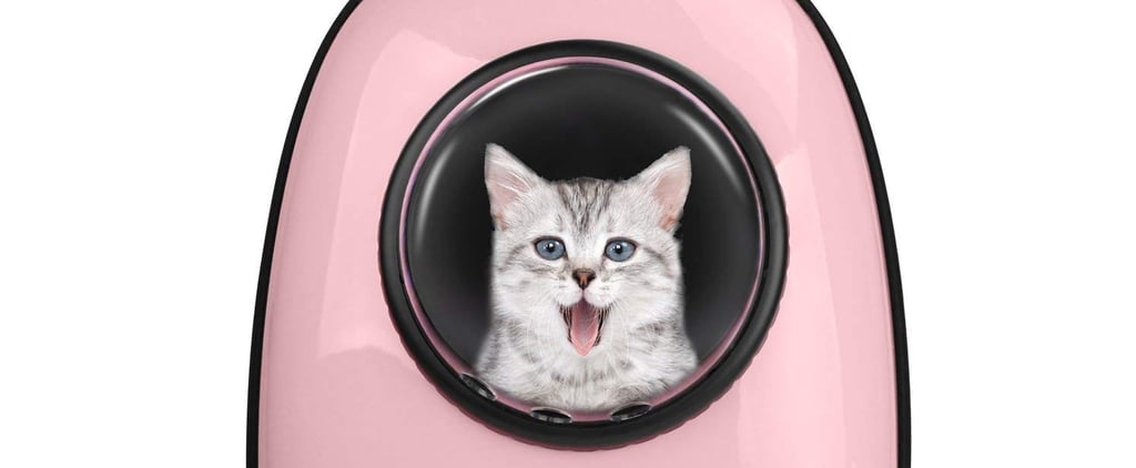 Best Gifts For Pet-Lovers