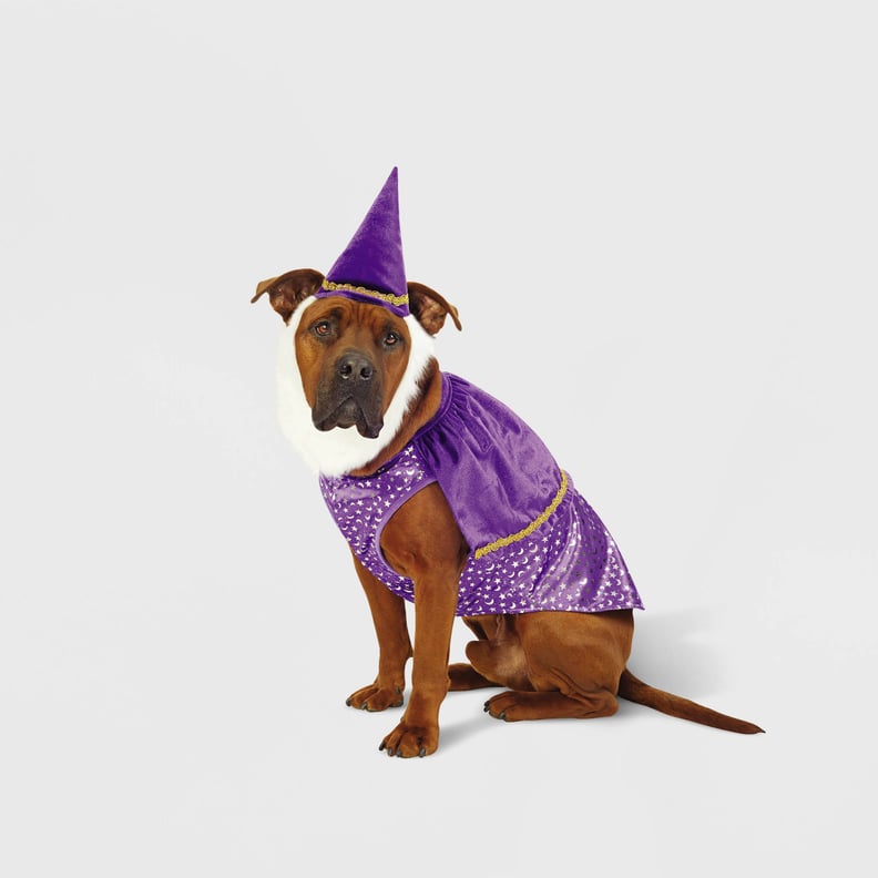 Something Magical: Hyde & EEK! Boutique Wizard Dog and Cat Costume