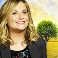 38 Reasons Amy Poehler Should Have Won an Emmy For Parks and Recreation