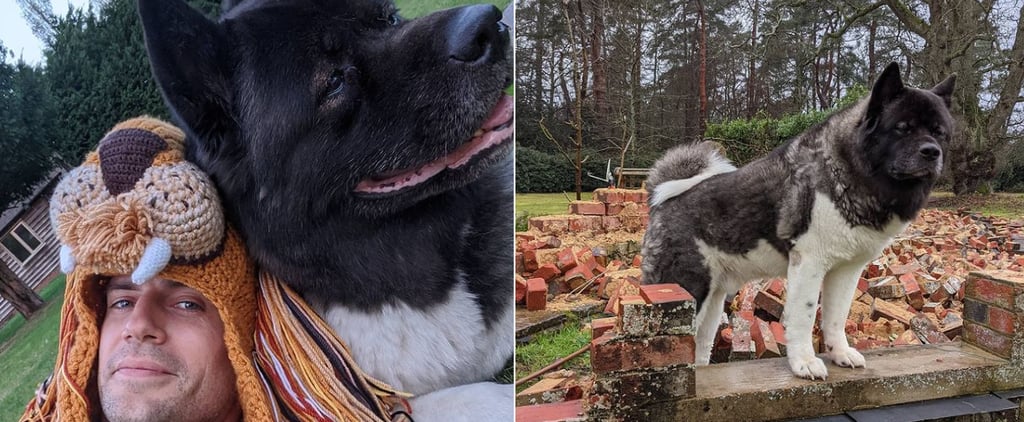 Henry Cavill's Dog, Kal