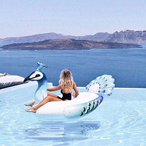 peacock floatie