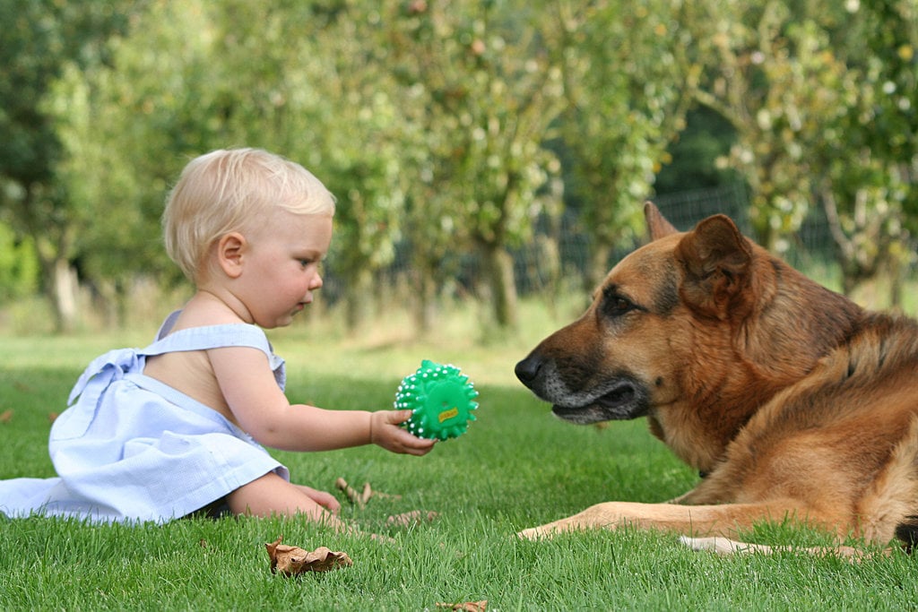 Benefits of Dogs For Kids