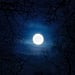 A Spiritual Limpia (Cleansing) For This Full Moon in Gemini