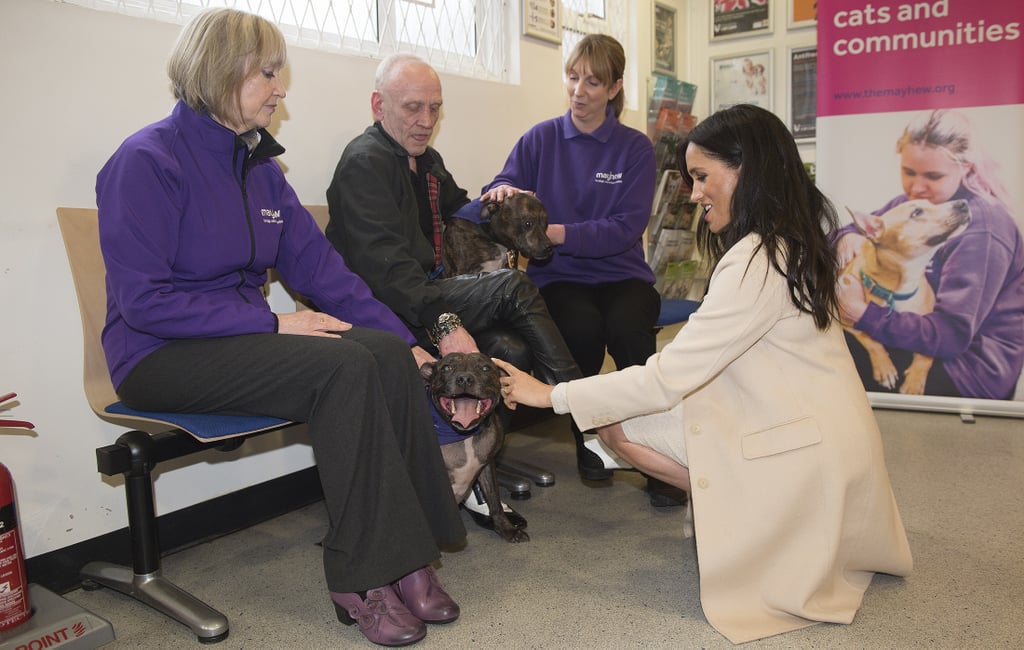 Meghan Markle Visits Mayhew January 2019