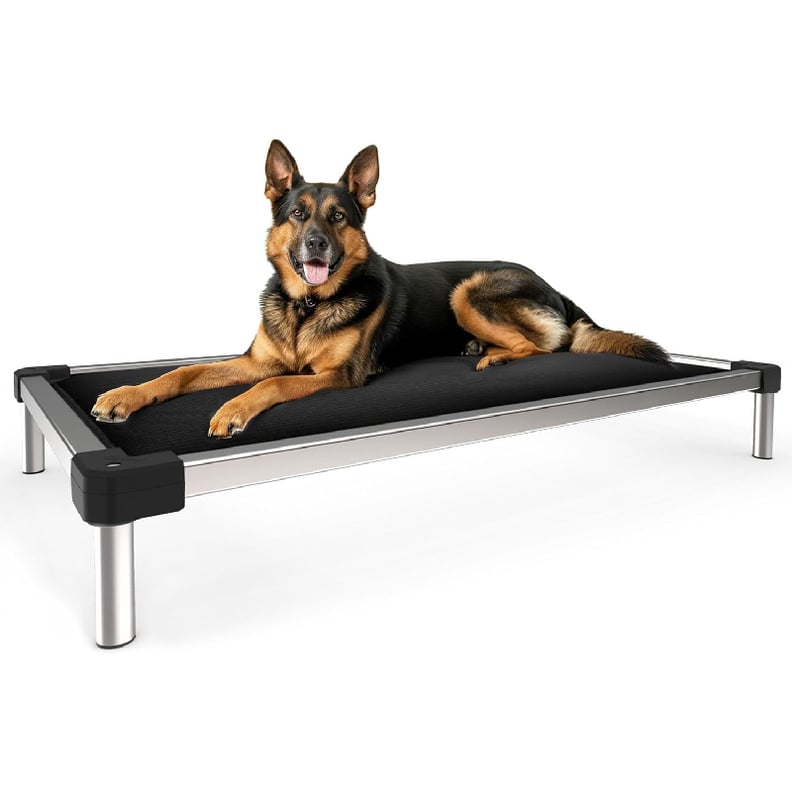 Best Chew-Proof Dog Bed