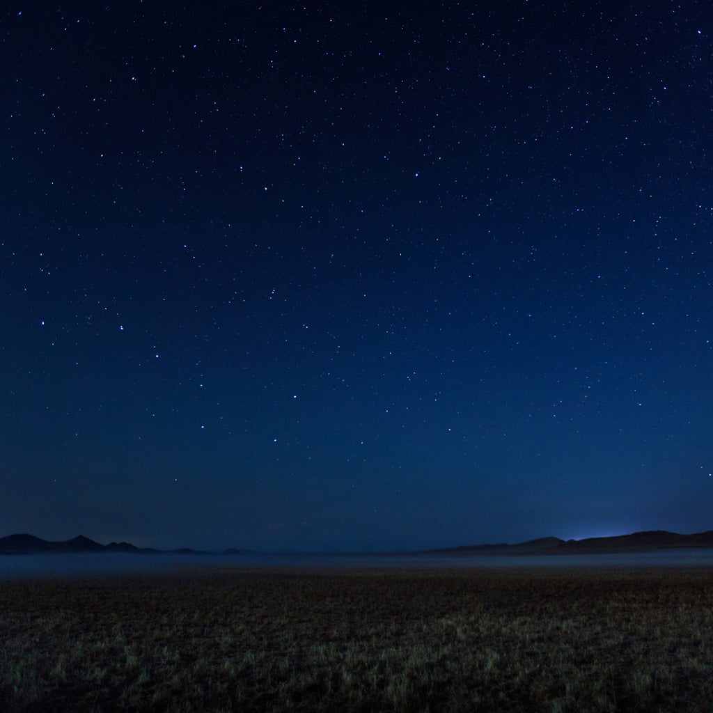 The Perseid Meteor Shower Is Your Best Chance of Seeing a Shooting Star