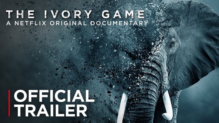 The Ivory Game Best Nature Documentaries On Netflix 2019 Popsugar Entertainment Photo 9