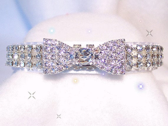 rhinestone-studded pet collar
