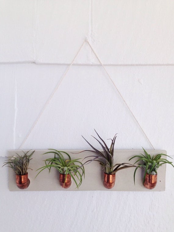 Copper and Cement Air Plant Holder