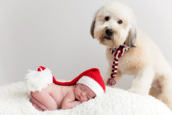 Adorable Baby and Puppy Christmas Picture Ideas