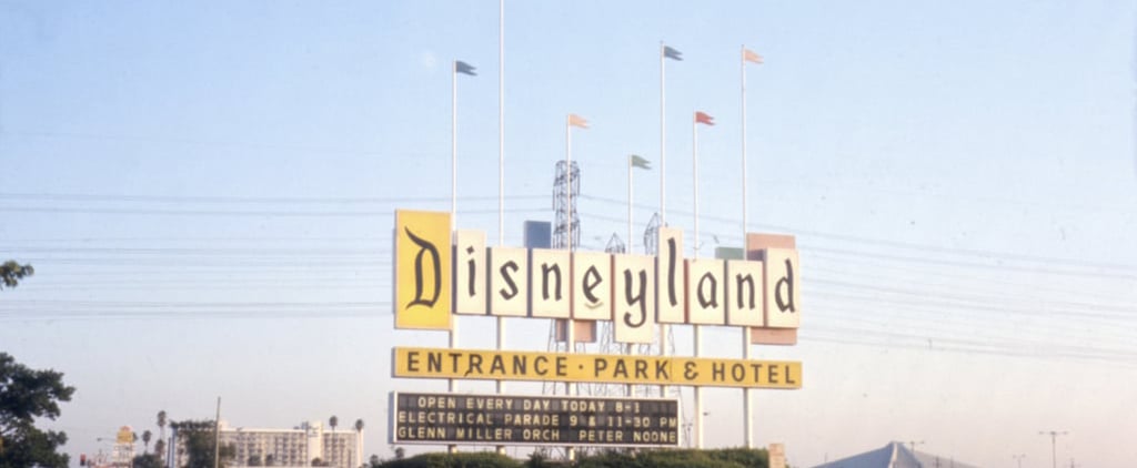 41 Insane Facts You Definitely Don't Know About Disneyland