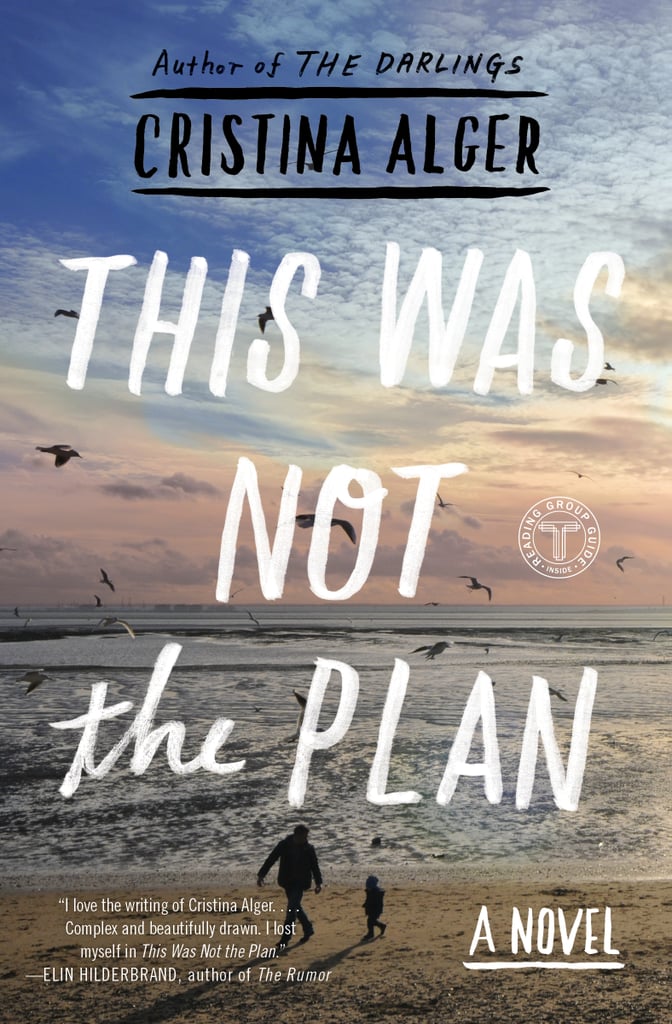 For the Young Dad: This Was Not the Plan by Cristina Alger