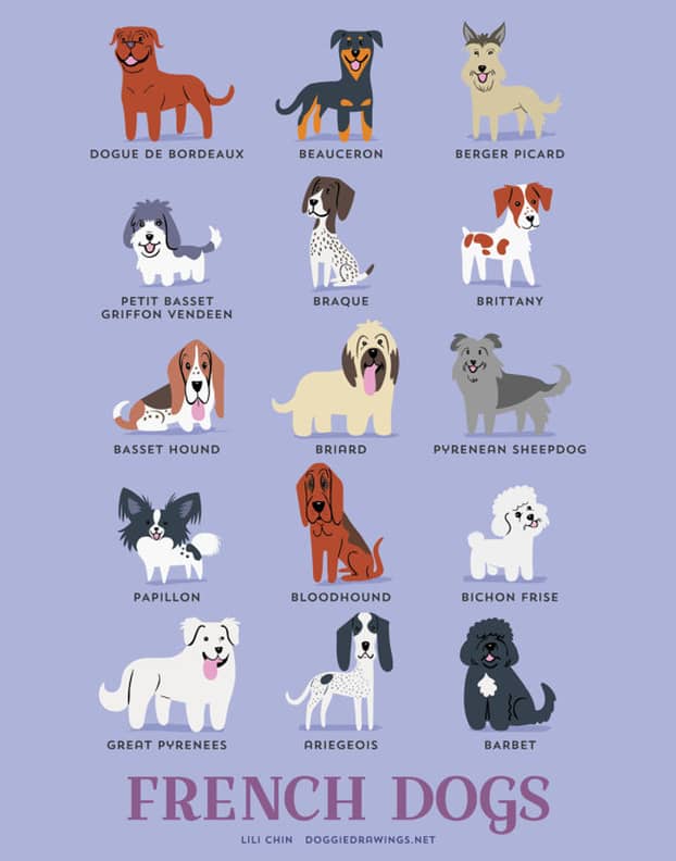 Every dog in the world clearance