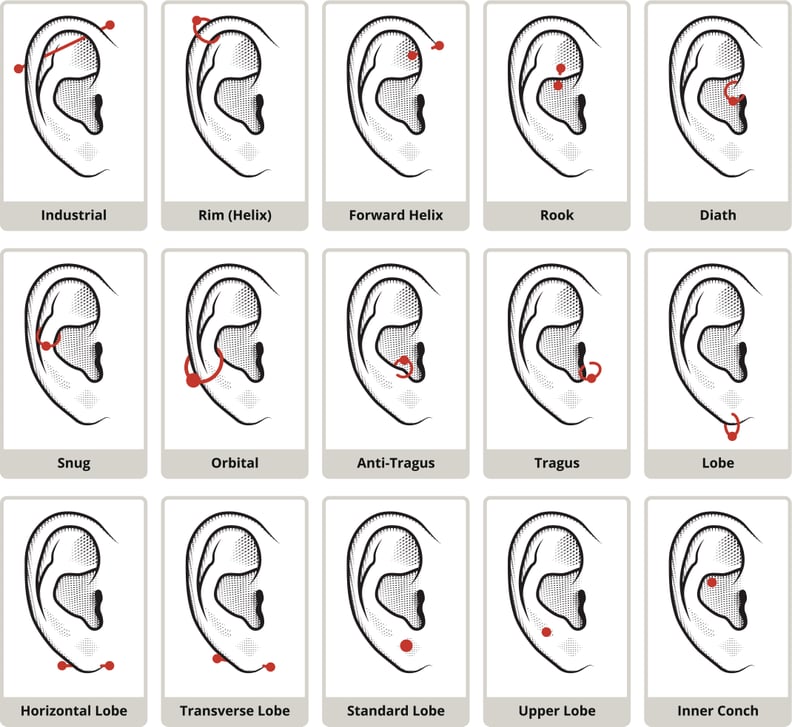 Ear and Nose Piercing Chart - A Visual Guide of what to expect