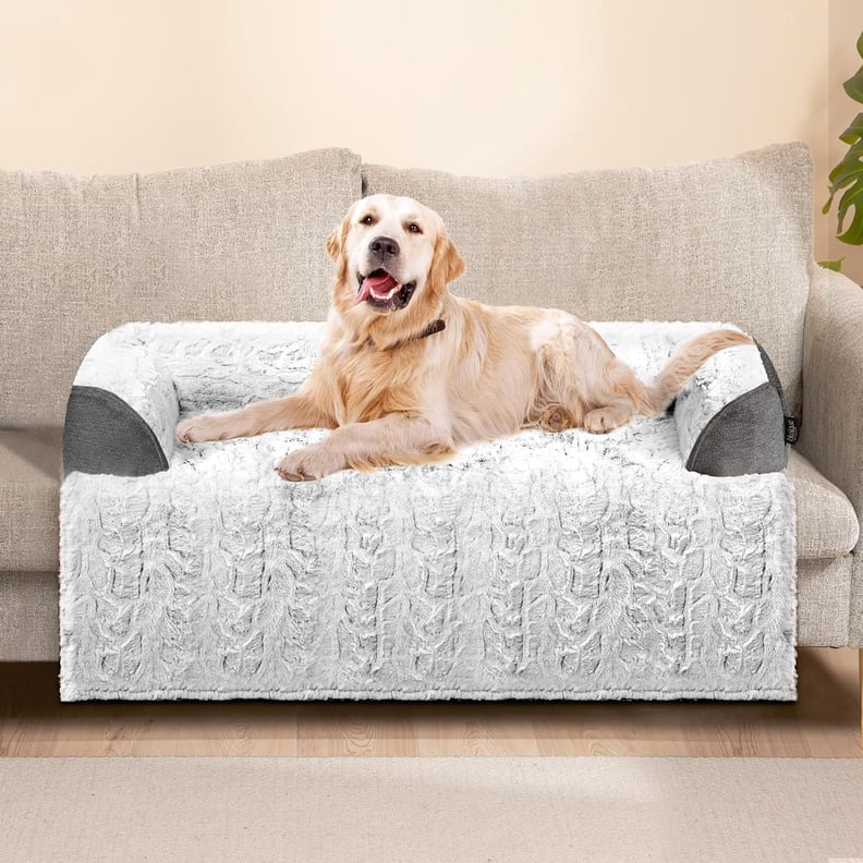 Best Couch Bed