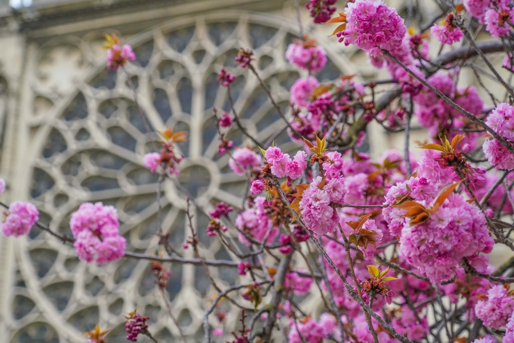 April in Paris