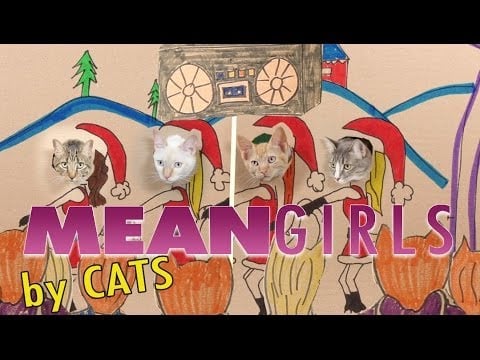 A <b>Mean Girls</b>-Meets-Cats Video