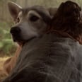 Game of Thrones: Where in Westeros Is Arya's Direwolf, Nymeria?