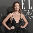 L.A. Animal Rescue Praises Olivia Wilde for Rehoming Dog After Claims She Gave It Up for Harry Styles