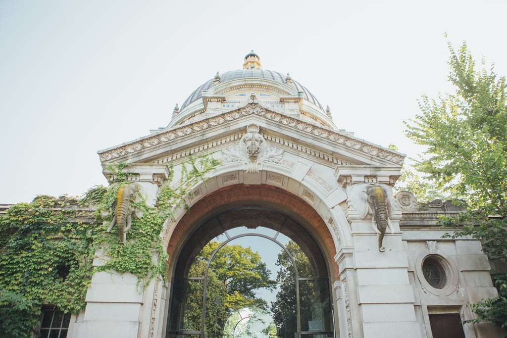 Bronx Zoo Wedding
