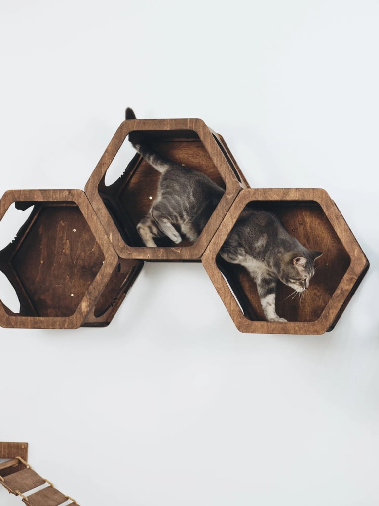 For a Curious Cat Hexagon Cat Wall Shelves Best Black Friday Deals on Etsy 2021 POPSUGAR