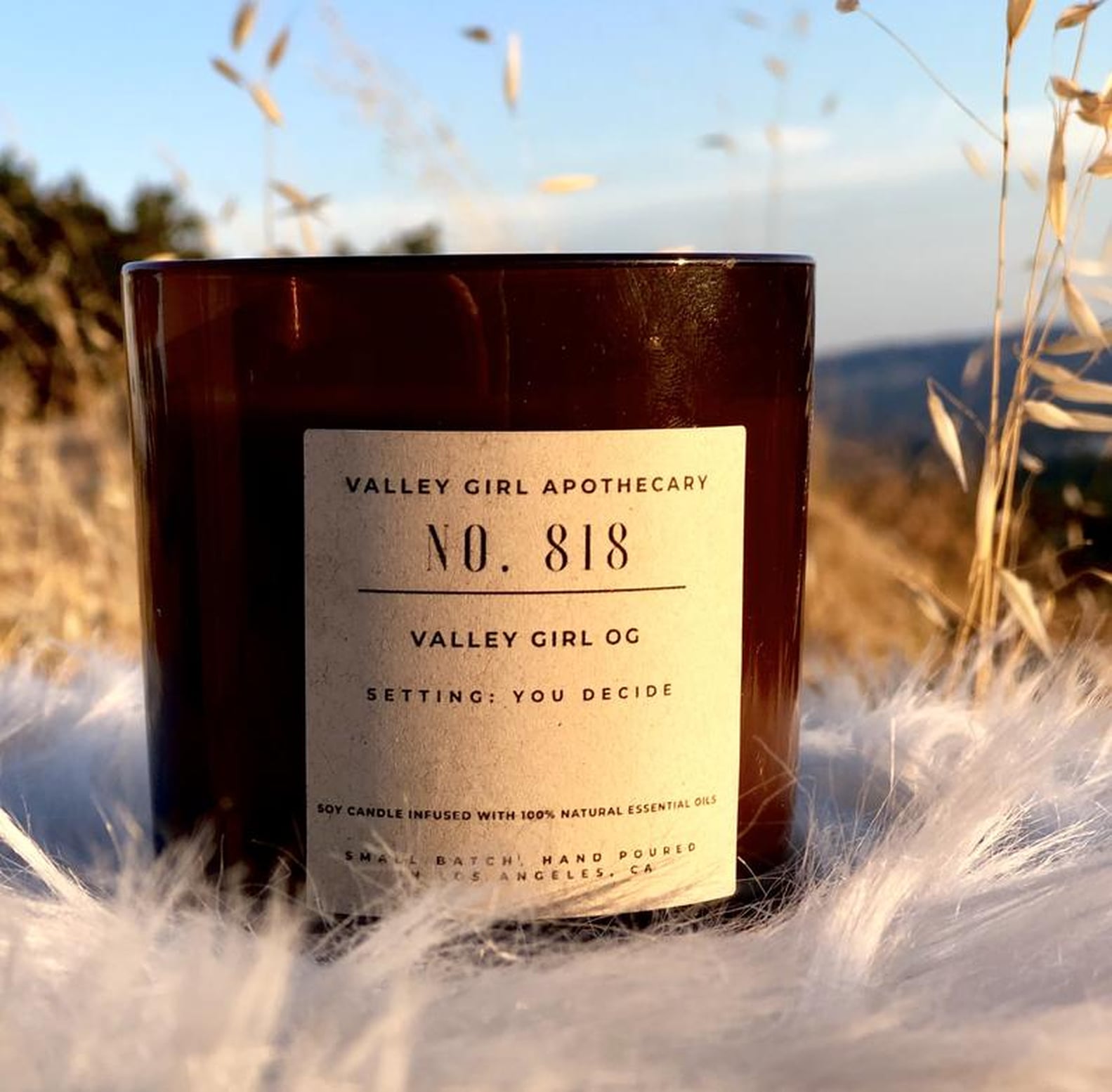 Best Candles on Etsy 2021 Guide POPSUGAR Home